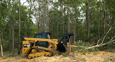 Vegetation Management